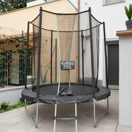 Olive Grove * Florence